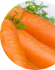 Vitamin A