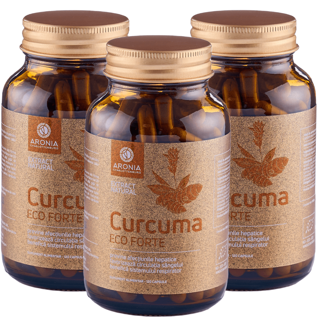 PROMO: 3 Bottles of Curcuma ECO Forte 120 Capsules