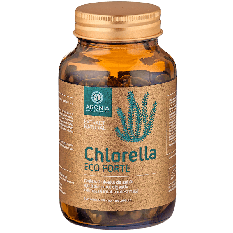 2048x2048 Chlorella