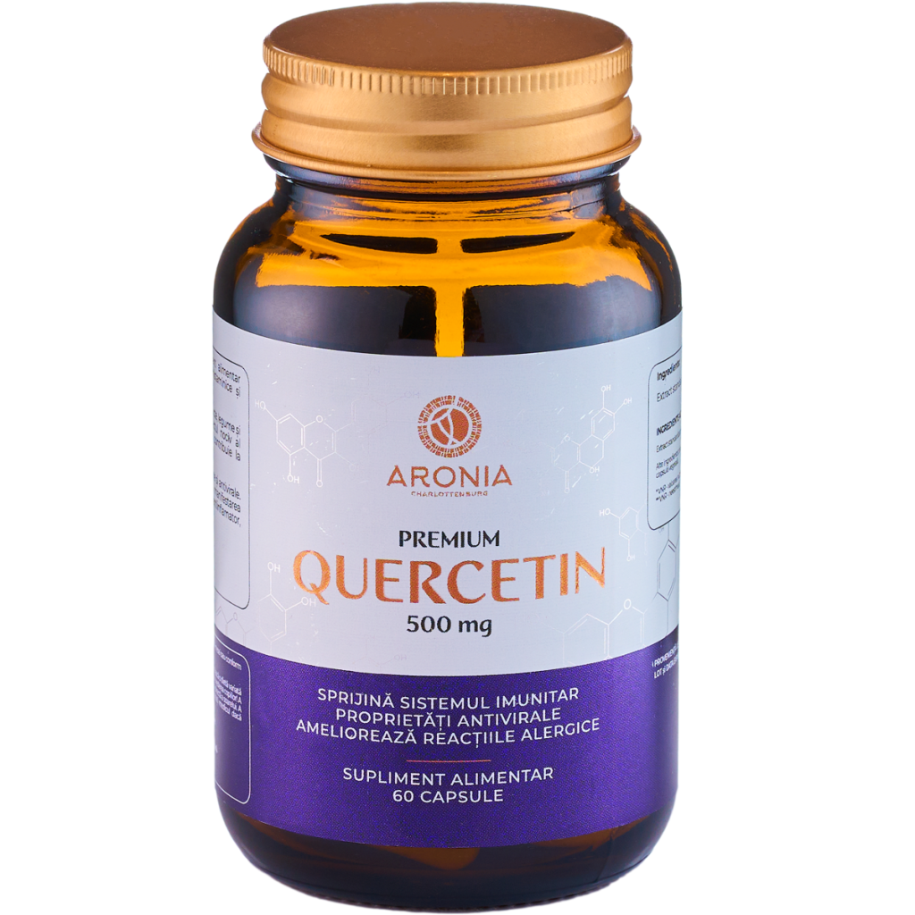 Premium Quercetin 500 mg — 60 Capsules
