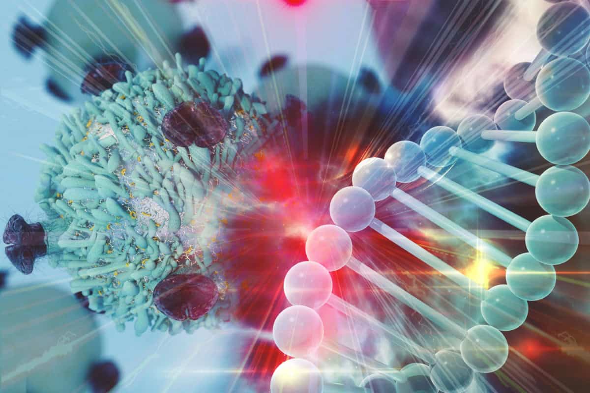Healthy Foods for Telomeres