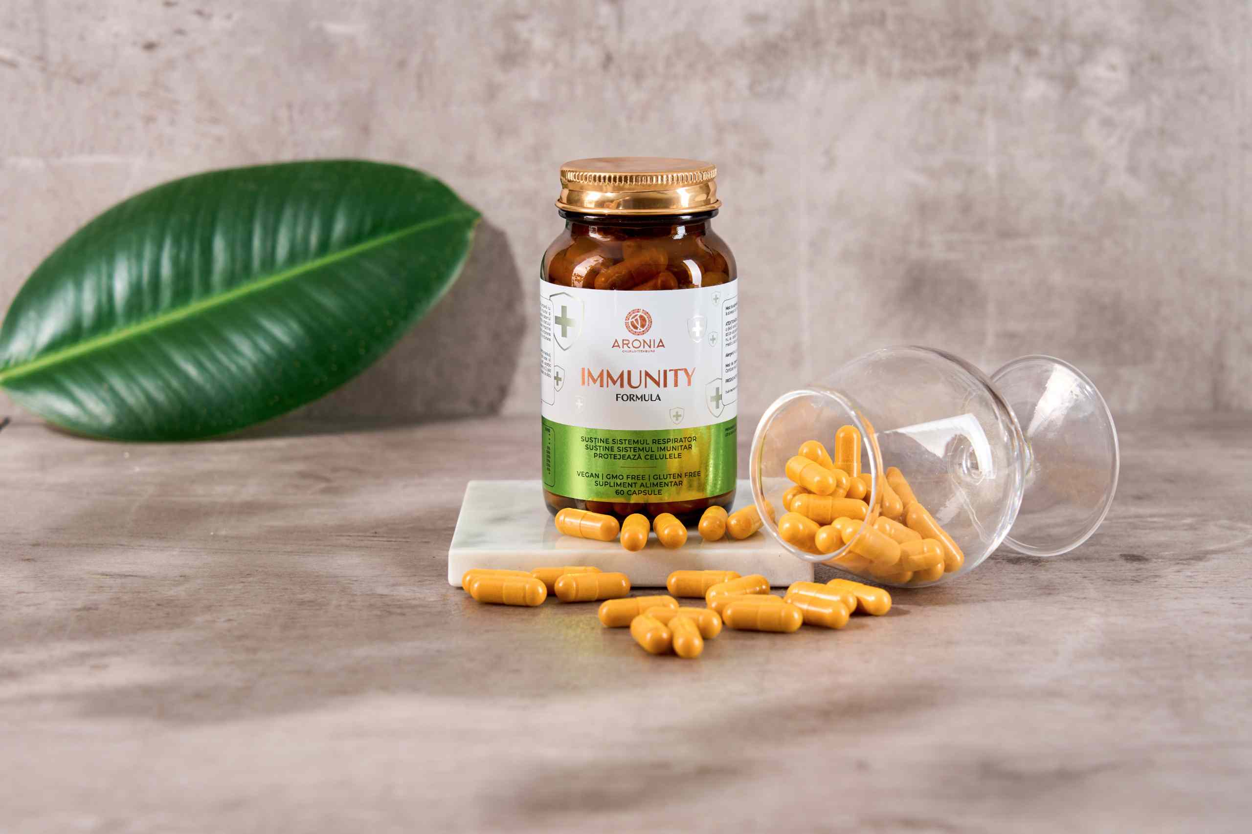 Astragalus: A Gem of Traditional Chinese Medicine. What Are This Plant’s Health Benefits?