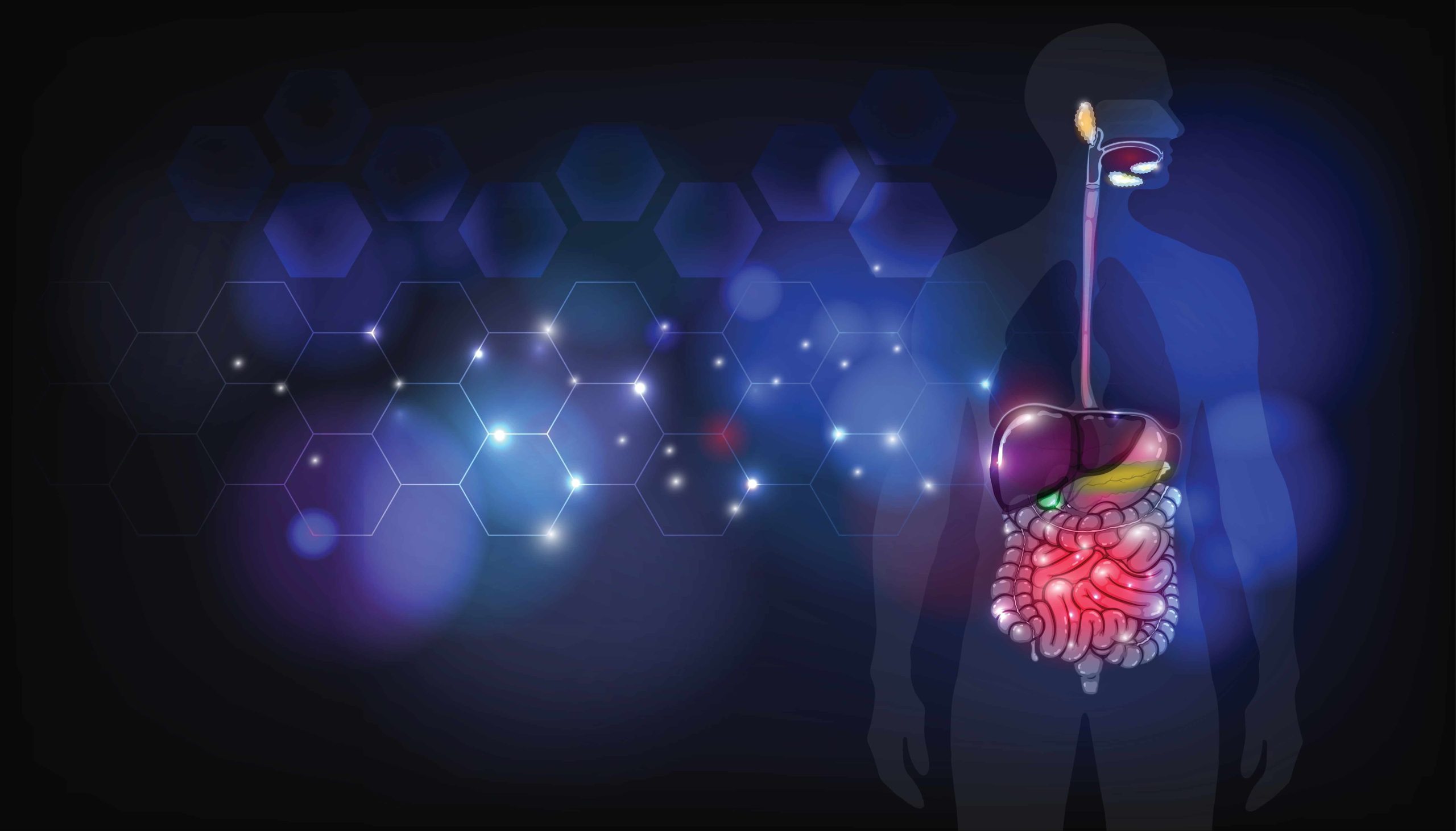 Digestive System Diseases: Causes, Symptoms, and Prevention