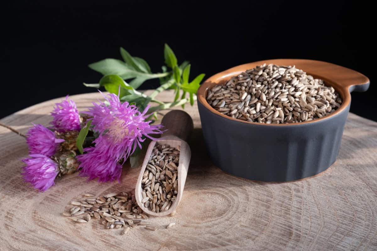 When to take silymarin – morning or evening?
