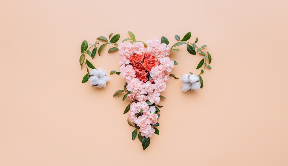 Hypoestrogenism or Estrogen Deficiency: Symptoms, Causes, and Recommended Treatments for Low Estrogen