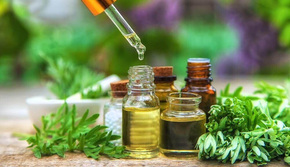 Wormwood, a Valuable Resource for Digestive Health: Benefits, Ways to Consume, and Contraindications
