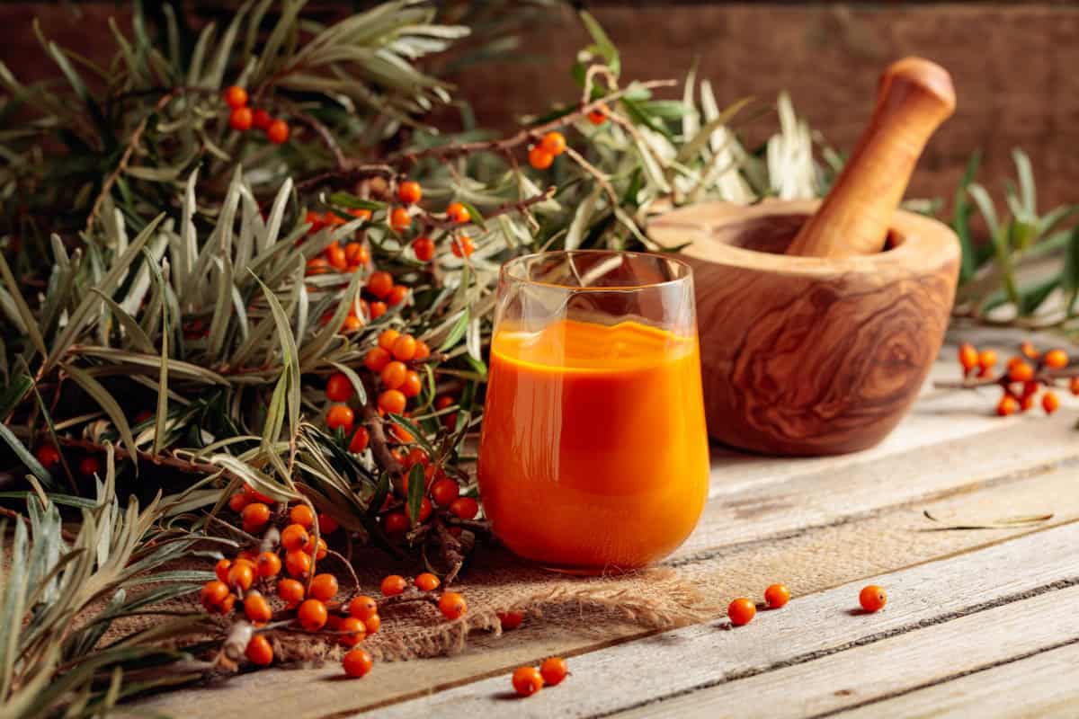 Sea Buckthorn Juice and Its Health Benefits