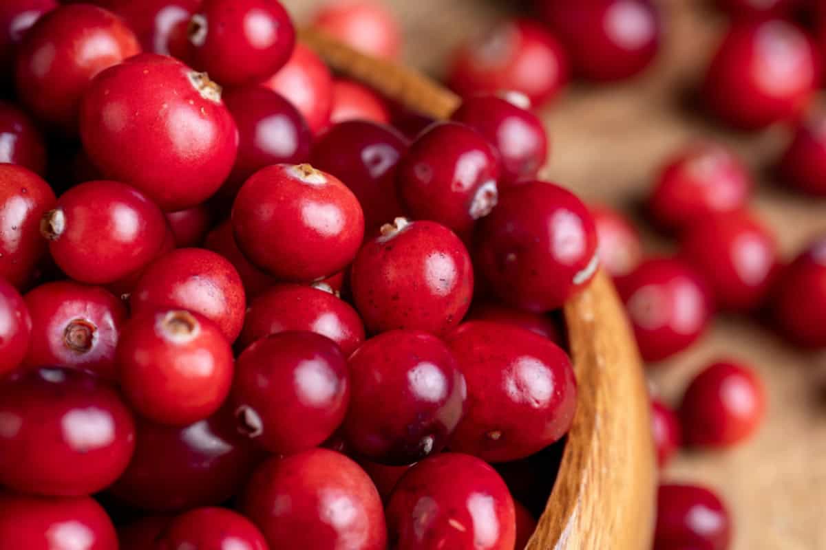 Cranberry Juice – Benefits