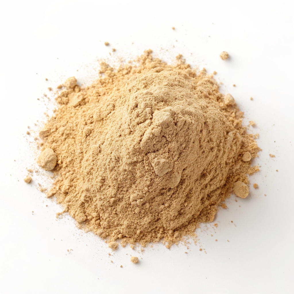Astragalus
