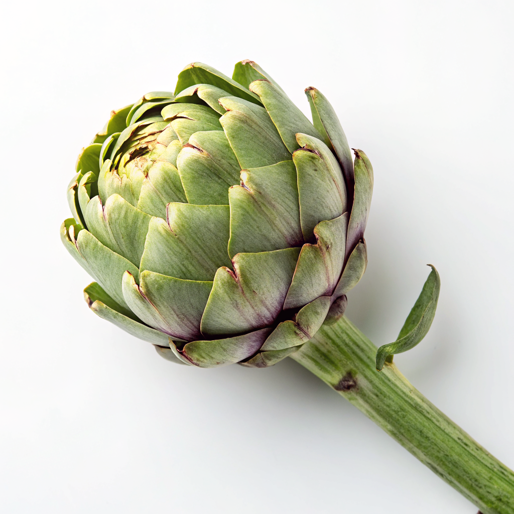Artichoke