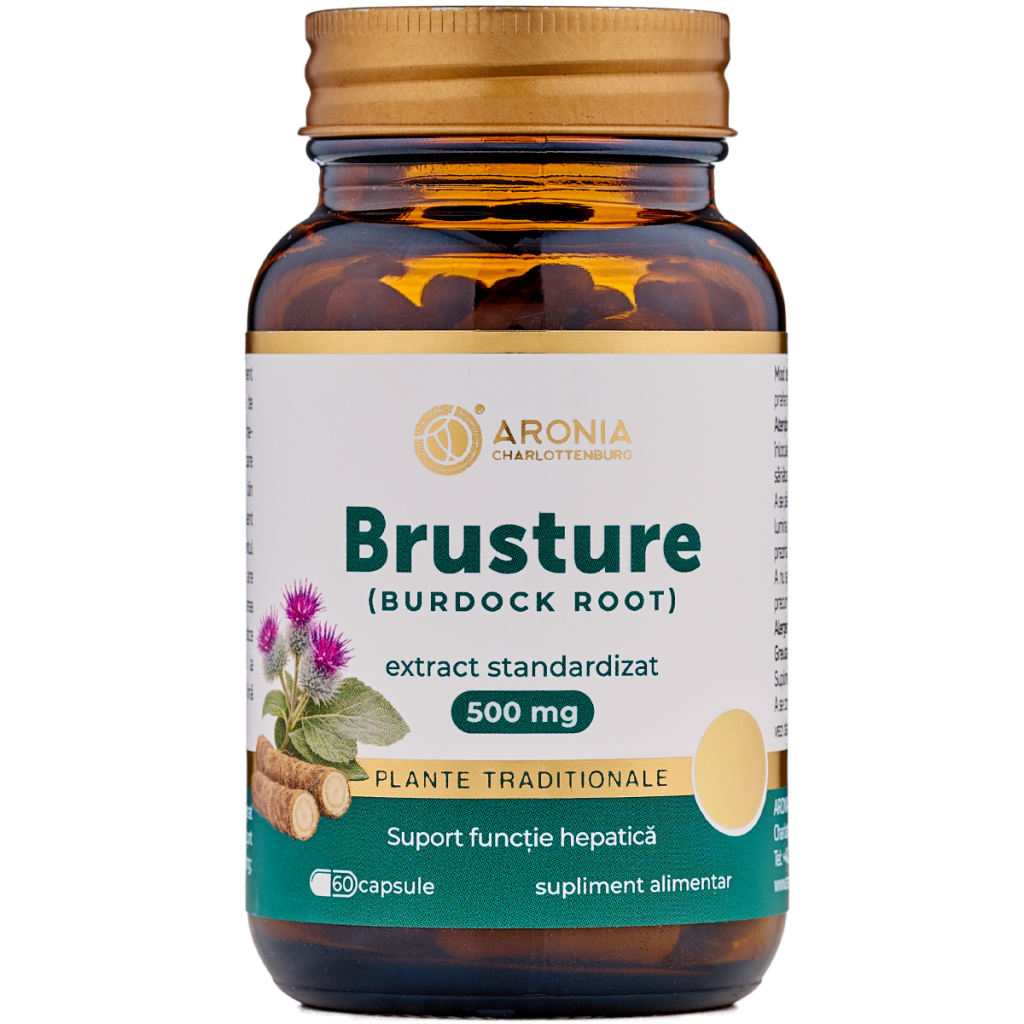 Burdock Root 500 mg — 60 Capsules