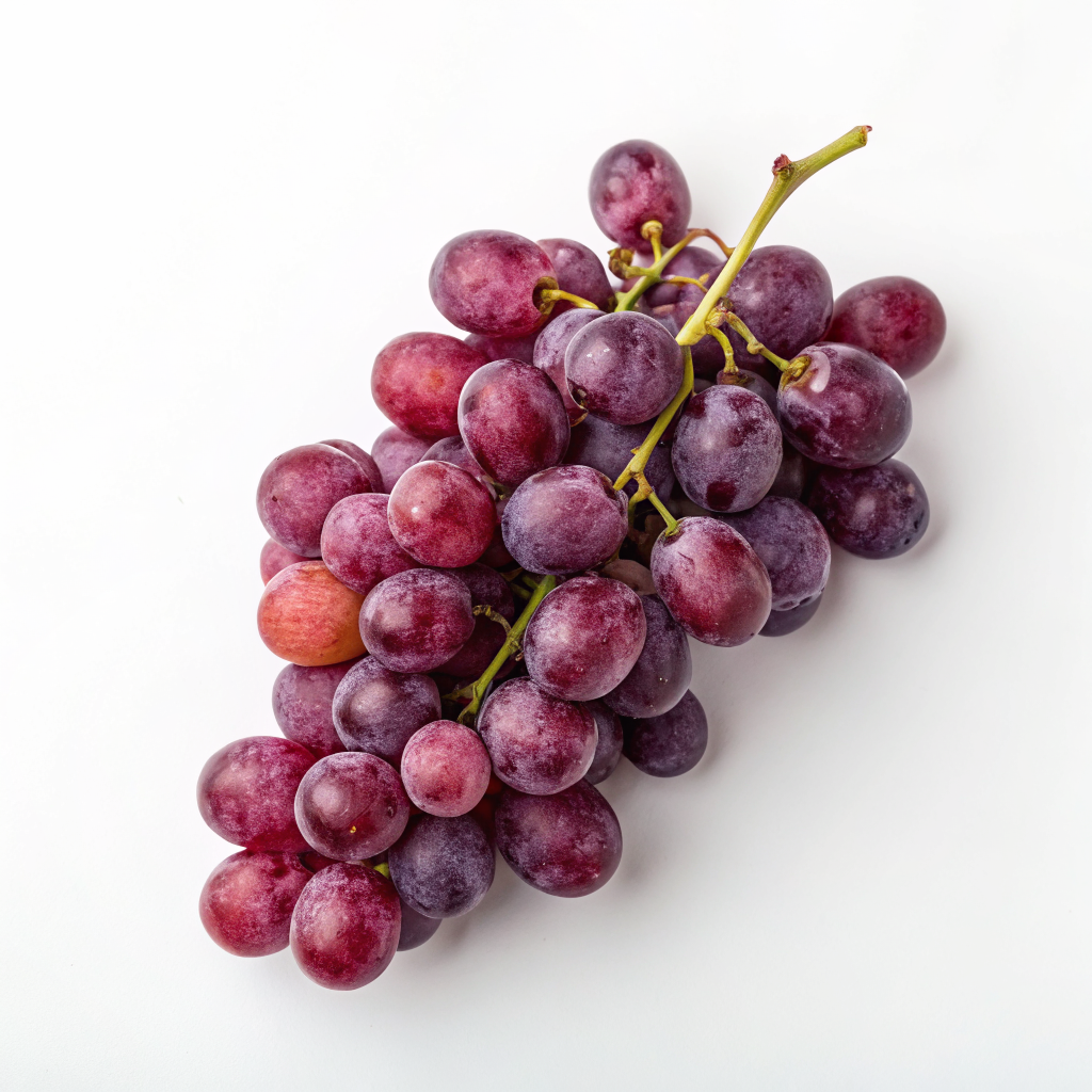 Grape Seed Extract