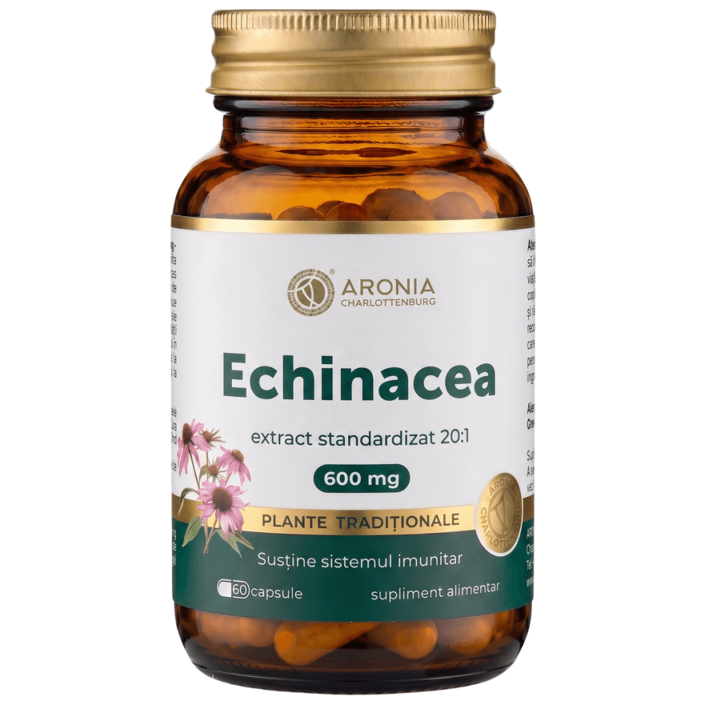 Echinacea 600 mg — 60 Capsules with 20:1 Concentrated Extract