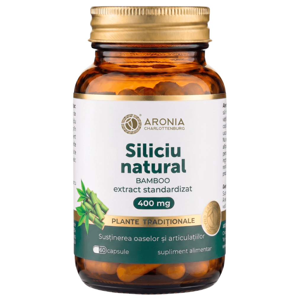 Natural Silica 400 mg — 60 Bamboo Extract Capsules